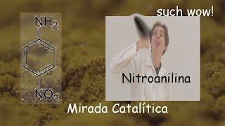 Síntesis y Purificación de Nitroanilina [upl. by Enia873]