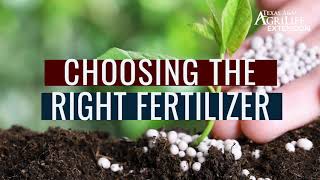 Choosing the right fertilizer for vegetable gardens [upl. by Selene]