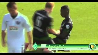 Eljero Elia  Amazing goal  Werder Brema [upl. by Ttelrats]