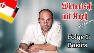 Wienerisch mit Ageh Wirklich  Folge 1 Basics [upl. by Persas]