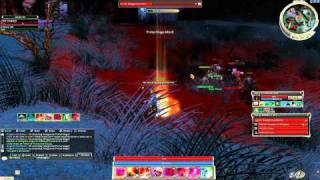 Guild Wars  Shadow Nexus Challenge Mission  HoM Hero Armor Guide HD [upl. by Rosenwald]