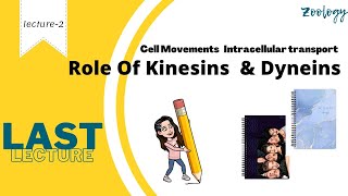 L2 Cell Movements Intracellular transport Role of Kinesins amp Dyneins MSc BSc CSIRNET zoology [upl. by Sharia642]