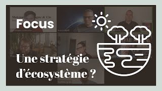 Mettez en place une stratégie d’écosystème   Stratégie [upl. by Aremmat571]