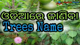 Tree names in Odia  easy learning English  Vocabulary Development [upl. by Nidya]