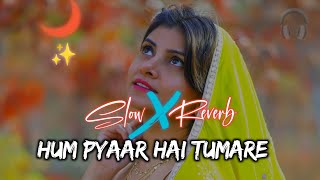 Hum Pyaar Hai Tumhare 💞 Slowed amp Reverb 💞 Udit Narayan old Bollywood Lofi song slowed lofi 90s [upl. by Eelytsirk]