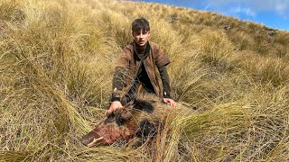 Pig hunting in the tussock [upl. by Corena]