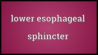 Lower esophageal sphincter Meaning [upl. by Nivrek]