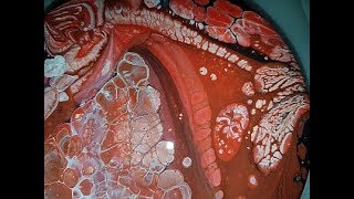 Fluid art pouring tutorial with Flip Cup Dish Soap 3 Stuart Wimbles  Free Your Mind Art [upl. by Kerek]