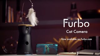 Furbo 360° Cat Camera┃Marvel Studios’ The Marvels [upl. by Millard]