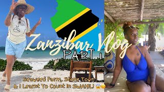 😍🏝️ ZANZIBAR VLOG pt1 ACCOMMODATION LEARN SWAHILI  SEAWEED FARM  STONE TOWN [upl. by Ahcire]