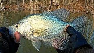 Crappie fishing in the Winter 2024 [upl. by Cassey211]