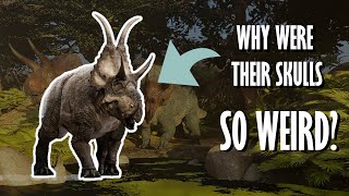 Everything you need to know about Ceratopsians [upl. by Pero]