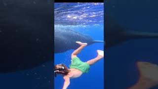 Unbelievable Kids Swimming with Whales [upl. by Adehsar]