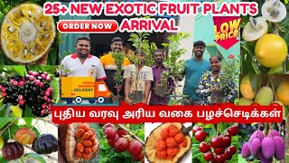 25 NEW EXOTIC FRUIT PLANTS ARRIVAL  SPRING GUAVA  ABHIU FRUIT  EVIARC JACK  KELDANG JACK [upl. by Yecies]