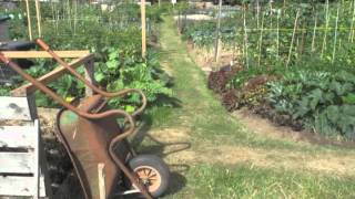 Higham Lane Allotments Nuneaton [upl. by Dnilasor315]