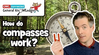 How does a compass work  General KnOWLedge [upl. by Aerised646]