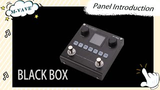 MVAVE Blackbox Panel Introduction [upl. by Weissberg]