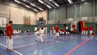 FudoshinRyu Cup 2013  Alex Turnier  Kihon Ippon Kumite  Finale [upl. by Waldman]