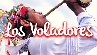 Voladores de Papantla la leyenda de los hombres pájaro [upl. by Dnomaid244]