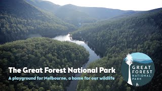 The Great Forest National Park  A Vision for Victoria [upl. by Jauch615]