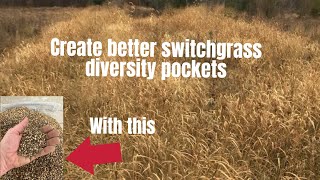 Build better bedding in switchgrass for deer [upl. by Roberts]