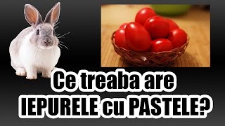 Ce treaba are IEPURELE cu PASTELE [upl. by Eelatan]