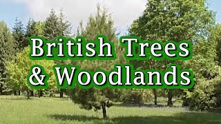 British Trees amp Woodlands [upl. by Patin]