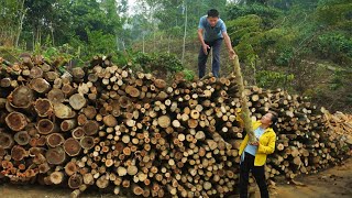 ROBERT and LIEU stored firewood for the coming winter Raising a large herd of pigs new family farm [upl. by Tenneb]