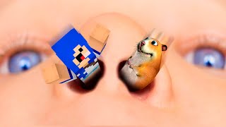 PROCURANDO O HAMSTER SECRETO no MINECRAFT FIND CHOMIKS [upl. by Sone]