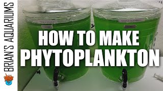 How to make Phytoplankton [upl. by Eelatsyrc]