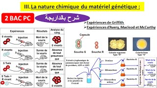 Nature chimique de linformation génétique 2 bac pc شرح بالداريجة [upl. by Ahsital]