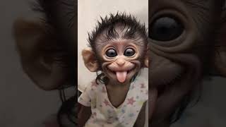 Kaora bandar 😂🔥🤣trandingshorts funny cutebaby comedy viral [upl. by Ailliw137]