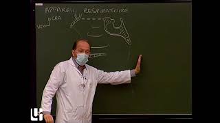 Anatomie générale 5  Appareil respiratoire General anatomy of the respiratory system [upl. by Wilburn]