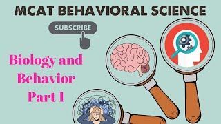 MCAT Behavioral Science Chapter 1  Biology and Behavior Lecture 14 [upl. by Newton]