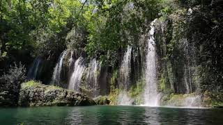 Wasserfallgeräusche mit Vogelgezwitscher im Wald Naturgeräusche zum Einschlafen amp Entspannen [upl. by Hairaza]