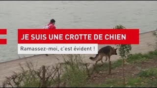 Je suis une crotte de chien ramassezmoi c’est évident [upl. by Garratt]