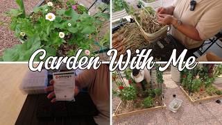 Garden Clean Up amp Sowing Flower Seeds  Dahlias Gomphrena Lisianthus [upl. by Trotter]