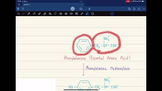 Pharm Biochem  Degradation of CSkeleton [upl. by Morril266]