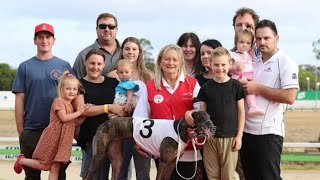 We had two semifinals of the Group 3 Brian Johnstone series last night 730m greyhounds Race South [upl. by Perren521]