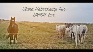 Clara Haberkamp Trio  Unikat LIVE [upl. by Shandy565]