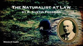 The Naturalist at Law  R Austin Freeman  A Bitesized Audiobook [upl. by Fitting643]