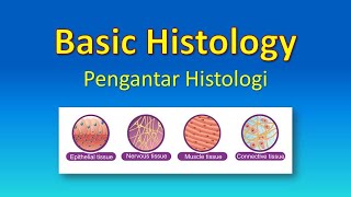 Basic Histology  Pengantar Histologi [upl. by Nayt229]