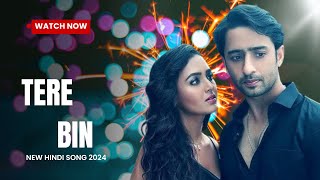 Tere Bin  Tere Bin new song  new hindi song 2024  akhil sachdeva new song [upl. by Ydnal]