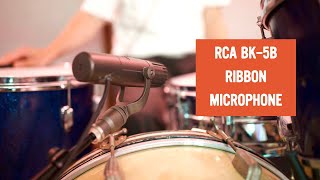 The RCA BK5B Ribbon Microphone In Action Track 6 [upl. by Schuyler172]