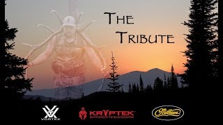 2017 Idaho Archery Elk Hunt  Elk Rut MADNESS [upl. by Chaim]