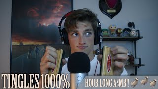 Hour Long ASMR for People Who Cant Get to Sleep  Sheep 2 [upl. by Rusticus620]