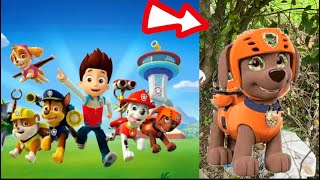 Encontramos a uno de los paw patrol [upl. by Ozan809]