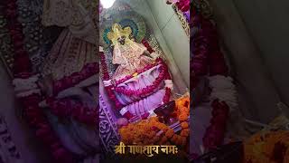 Jai shree kal Bhairav ji ❤️🚩🕉️ love relatable memes god explore foryoupage viralvideo [upl. by Lali]