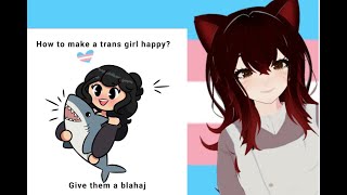 quotwanna make a girl happy get them a sharkquot  Trans memes  Trans VTUBER [upl. by Russel548]