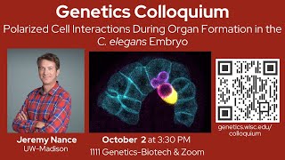 UWMadison Genetics Colloquium  Jeremy Nance  October 2 2024 [upl. by Pauline]